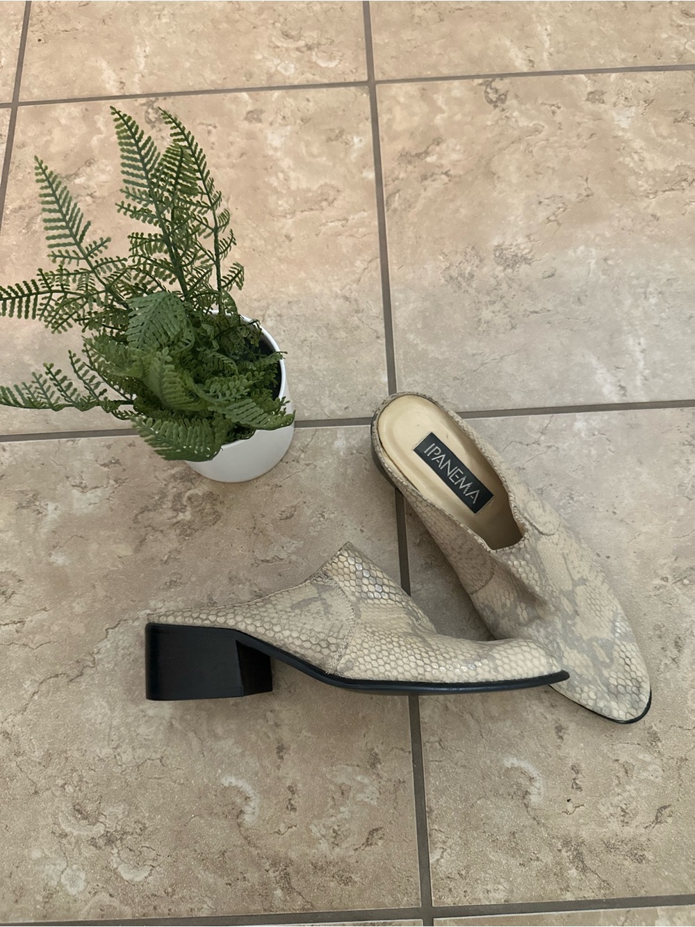 SNAKE PRINT SLIP ON HEELS